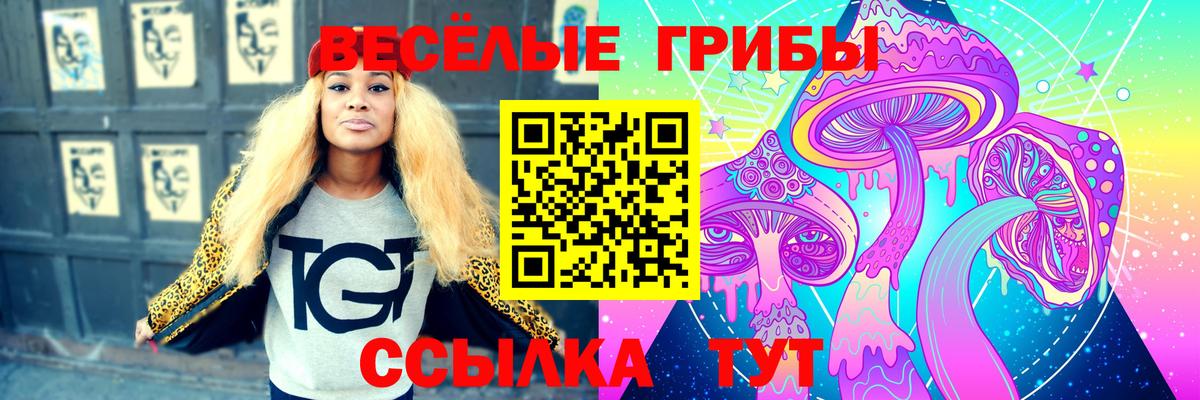 Галлюциногенные грибы мухоморы  Вход с VPN  Оренбург 